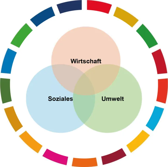 Die Elemente im Nachhaltigkeitskreis (SDG-Kreis der Vereinten Nationen) mit seinen 17 Zielen symbolisieren die drei Säulen der Nachhaltigkeit: Ökologie (grün), Soziales (blau) und Ökonomie (orange). Sie stehen für das ausgewogene Zusammenspiel dieser Bereiche, das für eine nachhaltige Entwicklung unerlässlich ist.